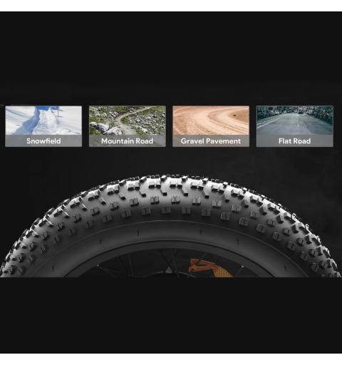 Bicicleta Eléctrica Ecoxtrem ATLAS