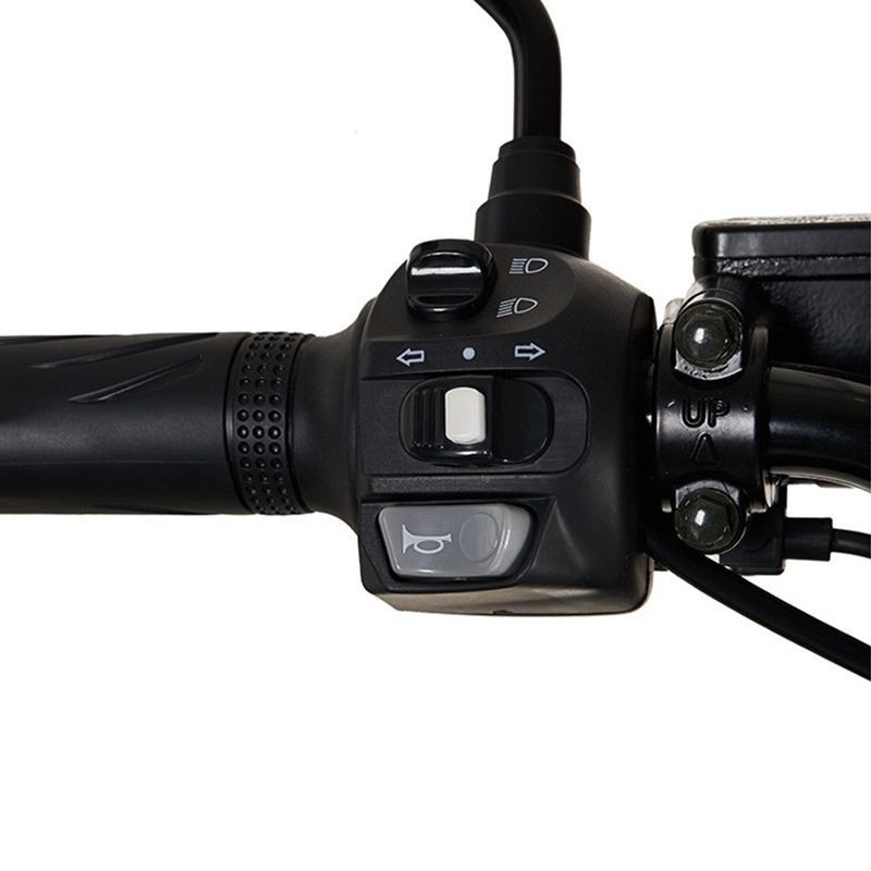 Scooter électrique 2000W avec coffre InTime, idéal pour les livreurs