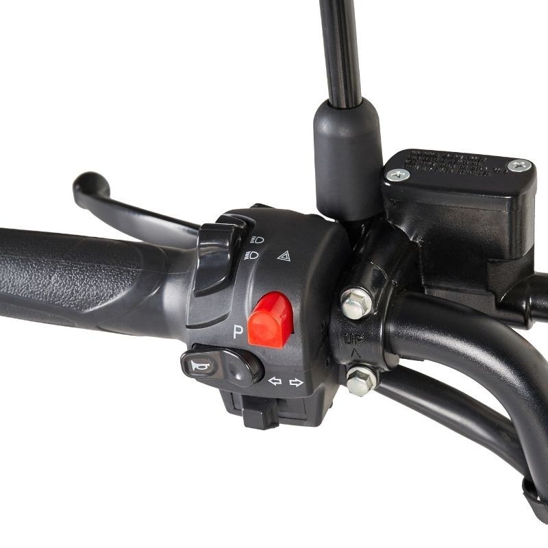 Moto électrique homologuée 1500W - T5