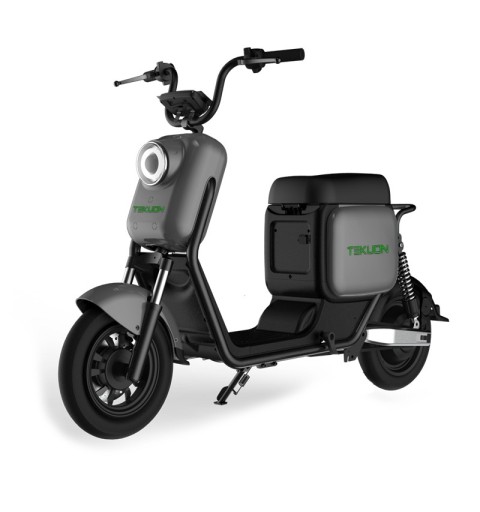 Scooter eléctrica de 1000W TEKUON Q3