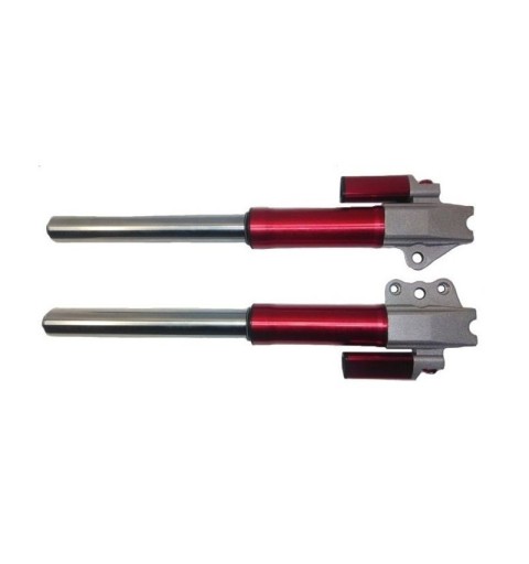 Suspensión delantera