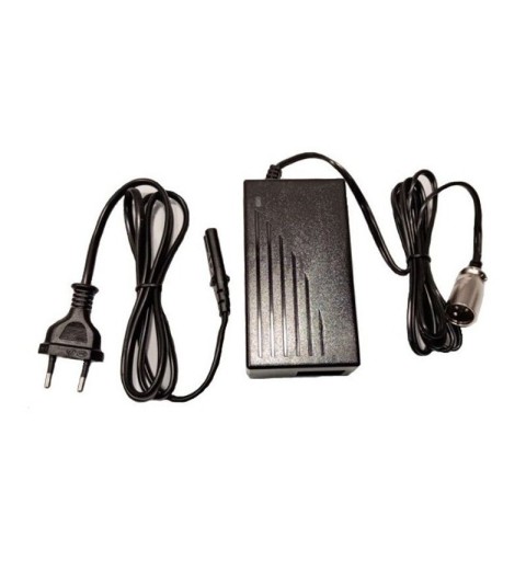 Cargador 48V Li-Ion DCSP546200