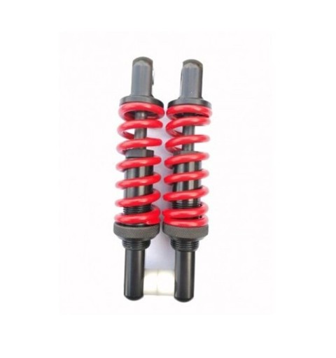 Suspensión delantera Bison