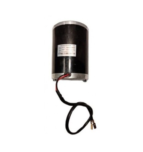Motor modelo ZY-1020 1000W, 3000 rpm