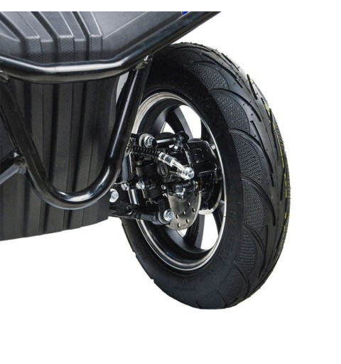 Scooter pour mobilité réduite Assistant II avec moteur 1000W