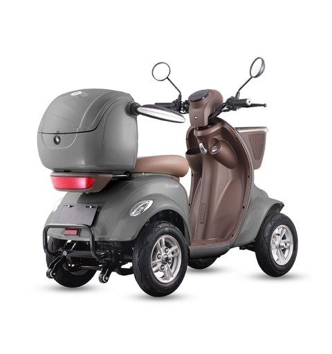 Scooter pour mobilité réduite Assistant L | 1000W, autonomie max 30 km